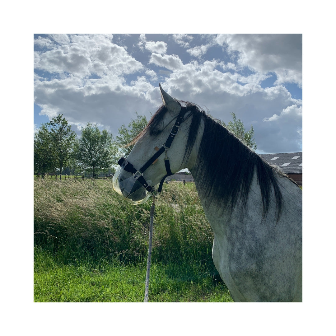 ThinLine® Flexible Filly 'Slow Feed' Graasmasker