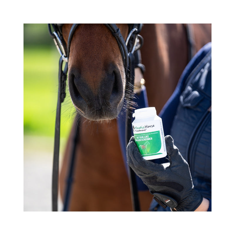 Mastic Horse Treatment