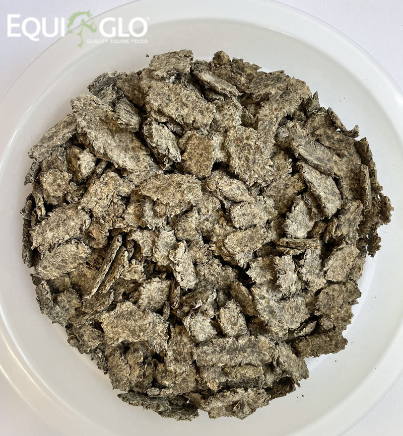 EquiGlo 10 Minute Beet®  melasse-vrije bietenpulp