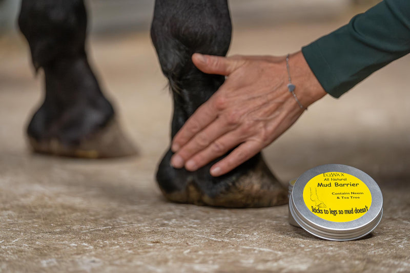 EqWax maak je eigen Bundel – 10% korting