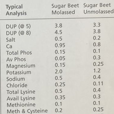 EquiGlo 10 Minute Beet®  melasse-vrije bietenpulp